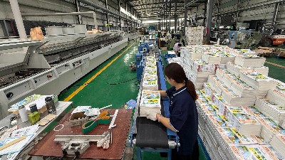 宣传册印刷知识，金秋彩印带您大揭秘